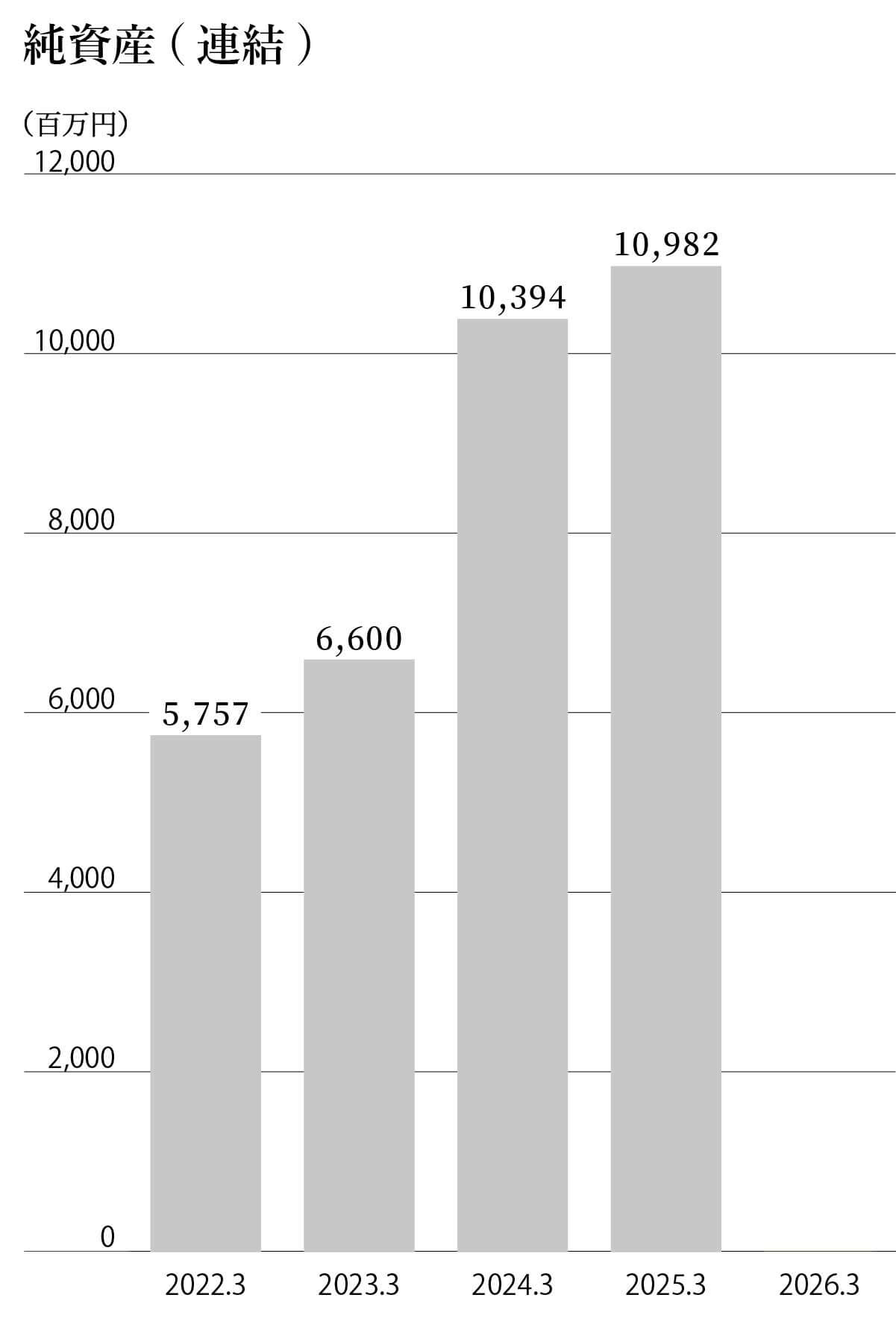 AMGホールディングス株式会社 純資産