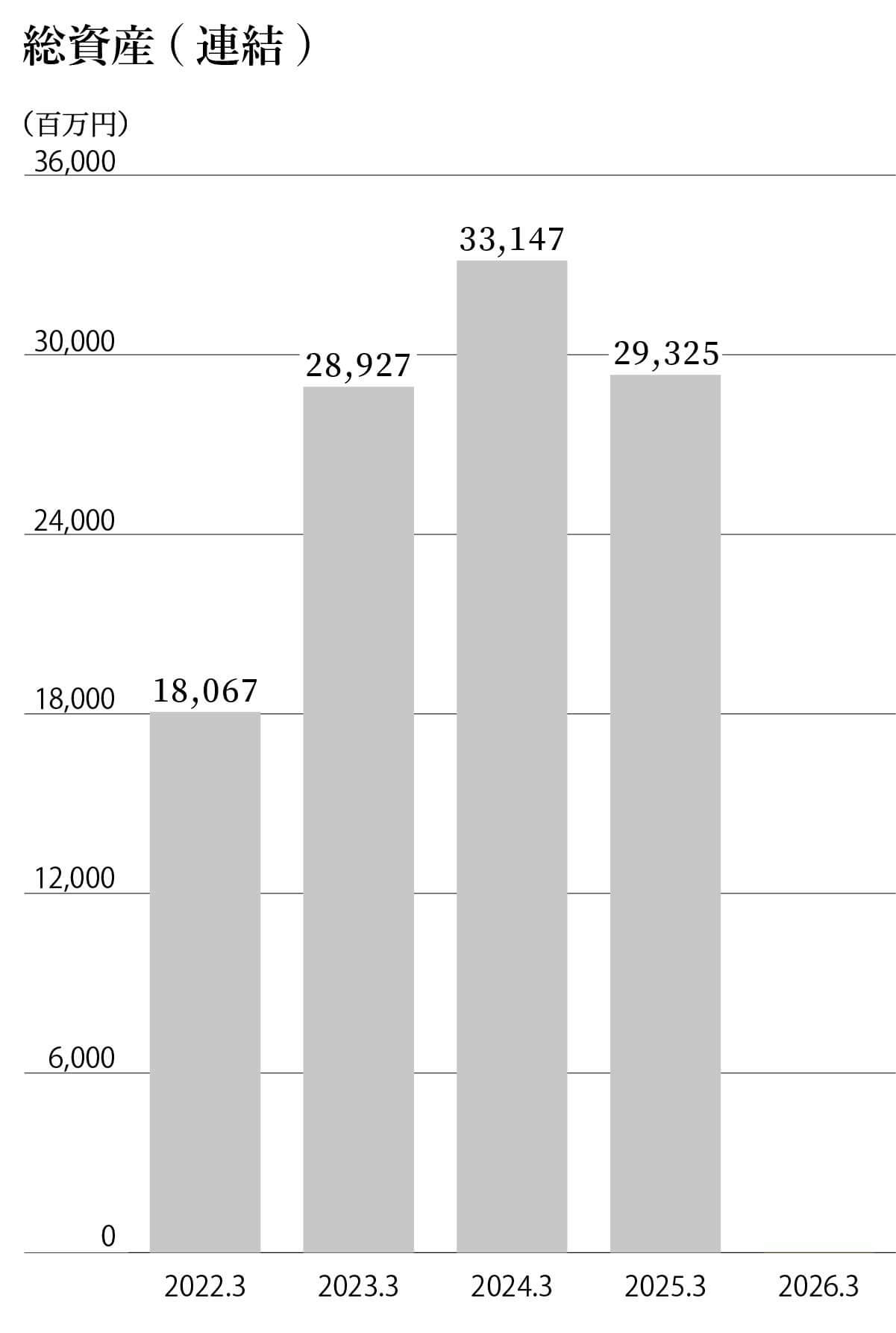 AMGホールディングス株式会社 総資産